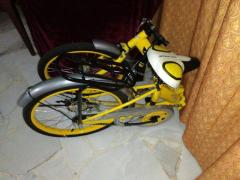 20" Folding Bike (SOLD)